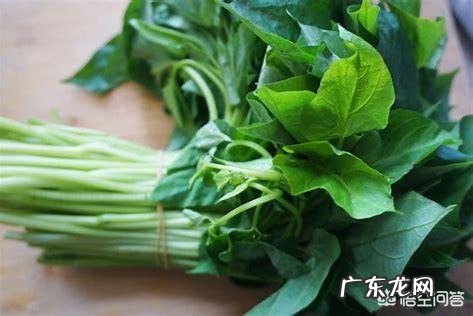 为什么有人说“霜打的红薯叶赛过黑珍珠”?