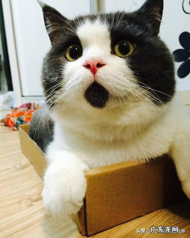 有哪些超励志的、鼓舞人心的电影值得推荐呢?