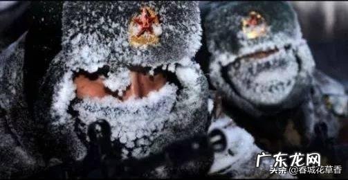 关于军营生活的词语10个,句子2句?