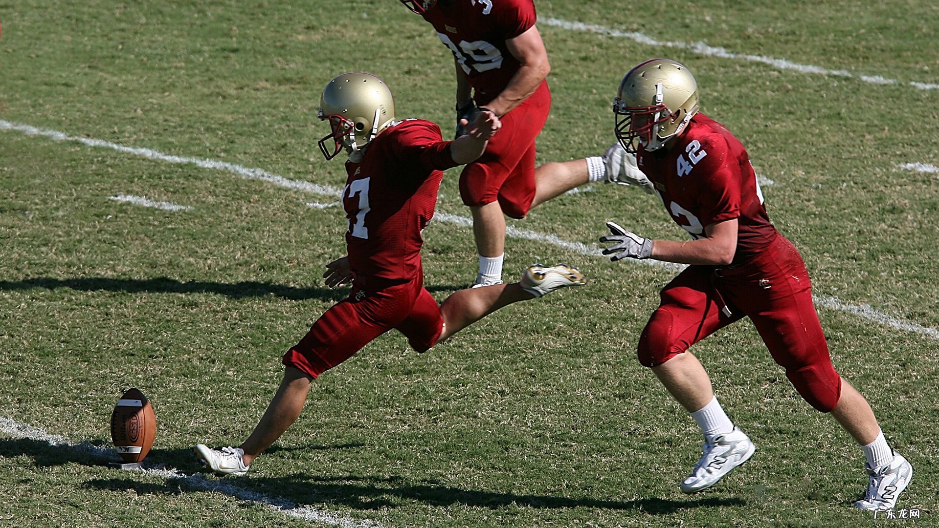 胖子是不是比瘦子更抗饿?