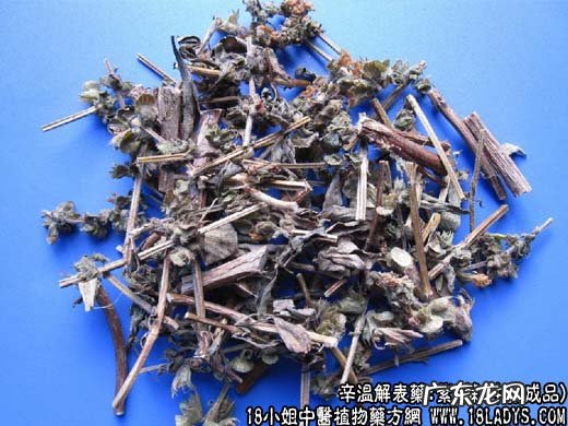 紫苏图片_紫苏的功效与作用