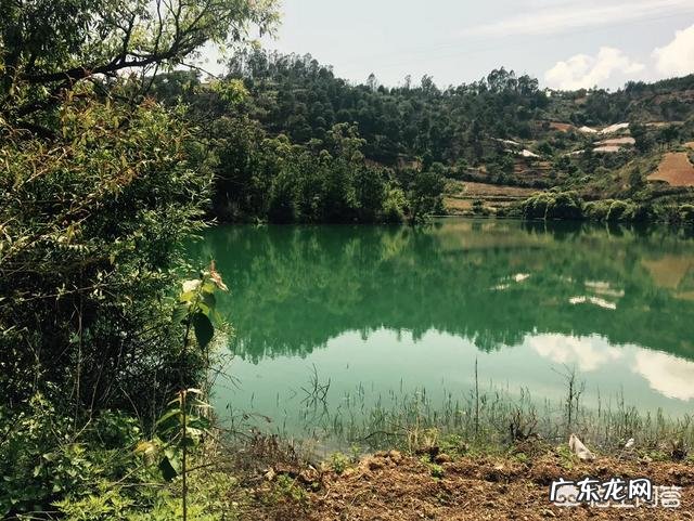 每天泡一杯枸杞水喝 每天晚上喝一杯用枸杞泡的水对身体好吗？