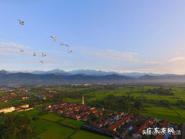 现在在农村做啥实体合适?