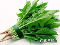 结石病人应该注意什么饮食