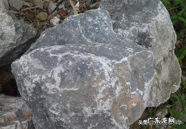 一个十公斤的物体在一万米高空中或更高重量会逐渐变轻吗