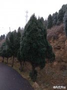 晚上吃撑了，第二天还有吃早餐的必要吃吗