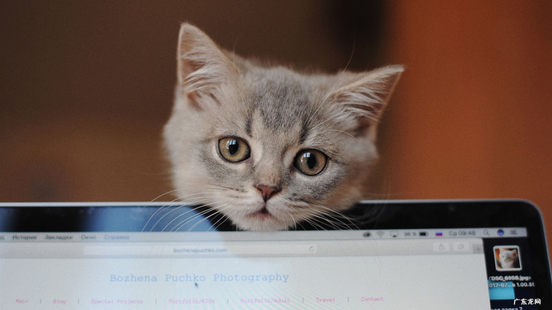 刚做完痔疮手术,吃什么利于刀口的恢复