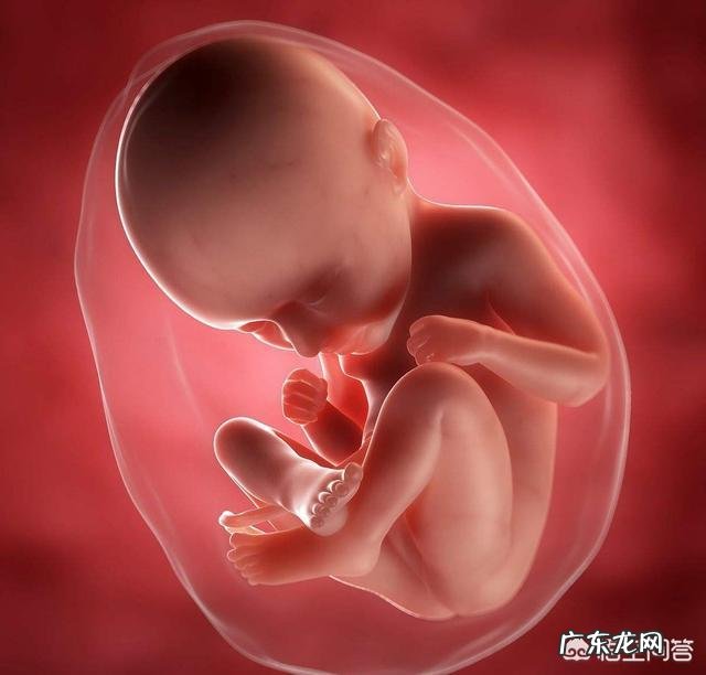 怀孕35周的时候胎儿是什么情况