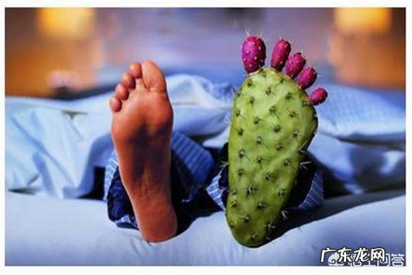 为什么青岛人吃海鲜、喝啤酒却不得痛风?