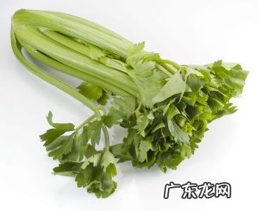 防止得心血管疾病有什么饮食健康秘诀推荐吗?