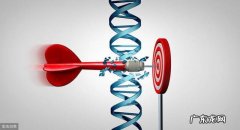 痛风长期吃非布司他有什么副作用？有什么需要注意的？