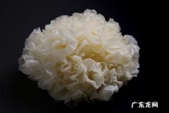 美容养颜食物排行，十大美容养颜食物