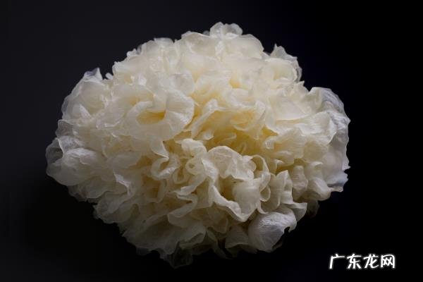 美容养颜食物排行,十大美容养颜食物