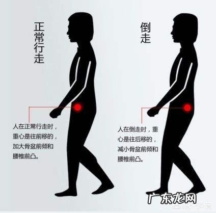 核桃能多吃吗有什么营养 核桃有什么营养价值?什么人不适合吃核桃?