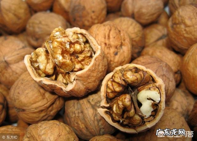 核桃能多吃吗有什么营养 核桃有什么营养价值?什么人不适合吃核桃?