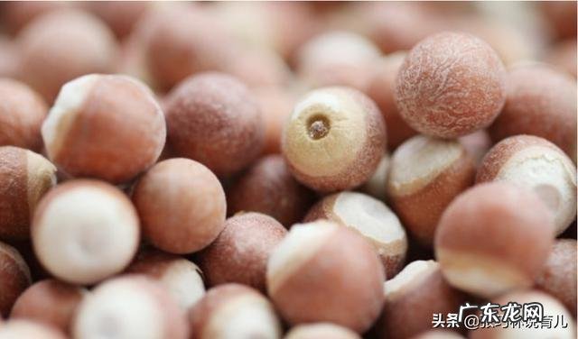 薏米能除湿吗?如果能,如何吃可以让功效放大?