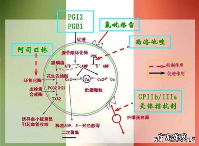 甲状腺手术有哪些后期影响