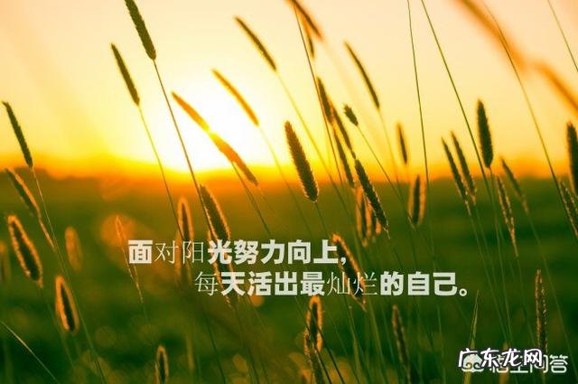 精神压力大,紧张2个月消瘦3公斤怎么调整