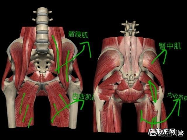 怎样通过瑜伽来稳定骨盆呢?
