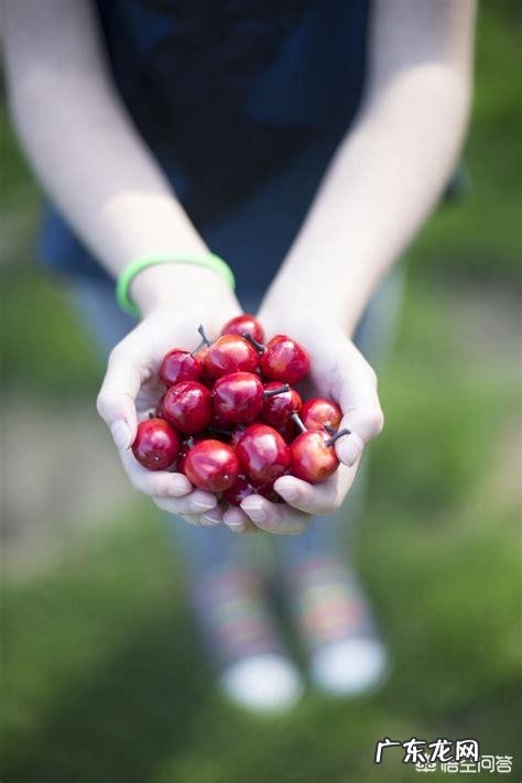 如何介绍小苹果这首歌 如何评价《小苹果》这首歌曲?