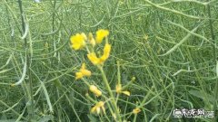 对于现在网络新闻错字百出你怎么看