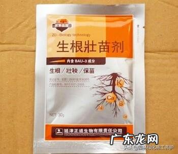 啤酒可不可以当肥料来浇植物？