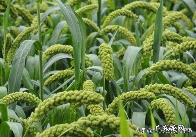 作为妈妈,工作与照顾孩子不能兼顾时,该如何选择