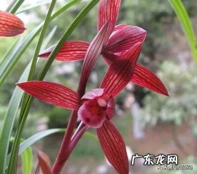 作为妈妈,工作与照顾孩子不能兼顾时,该如何选择