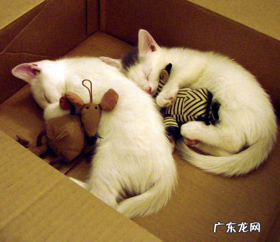 冠心病患者能运动吗?哪些运动适合冠心病患者?