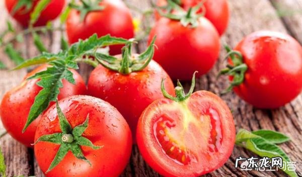 减肥完全素食对身体是否健康?