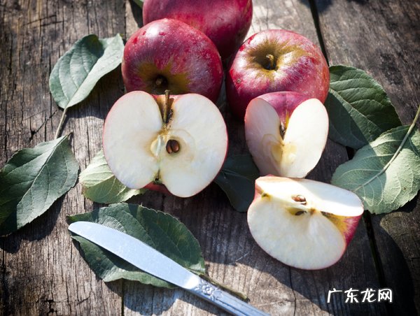 最适合孕妇吃的6种水果，营养丰富又能保胎