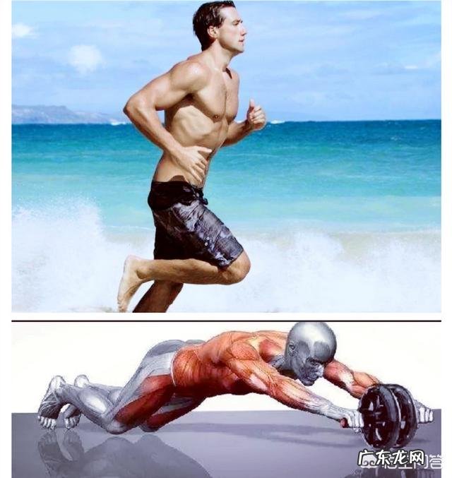 如何轻松减肥练腹肌 如何快速减肥塑身练出来好身材？腹肌轮加上跑步有效果吗？