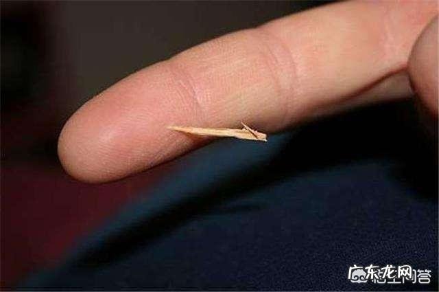 心口摸着有个硬块是剑突吗 在自己胸口剑突处摸到一个硬块该怎么办？