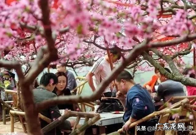 我是北方人想定居在成都,可那边家里总感觉潮湿,如何解决