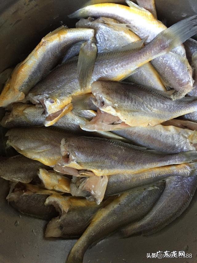 外面有面粉裹着的 请问怎么做炸鱼，又香，刺又脆。