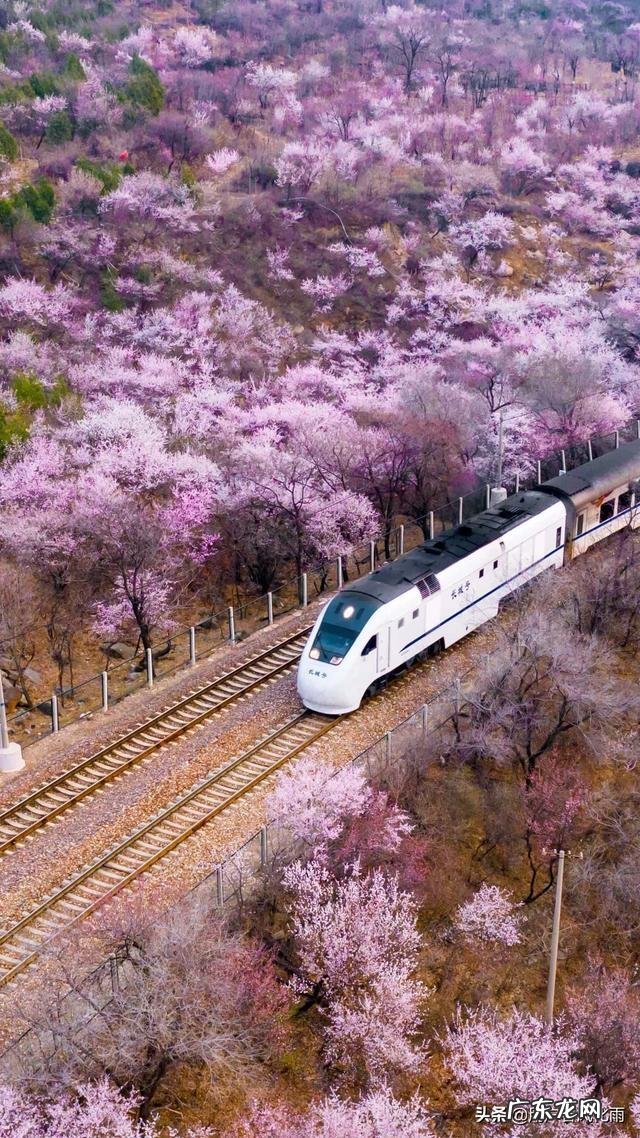 有什么好看的人物传记电影推荐？