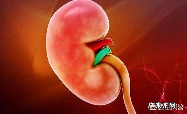 系统性红斑狼疮的病因有哪些