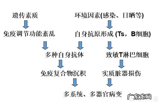 系统性红斑狼疮的病因有哪些