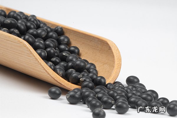 女性去湿气最快的方法,6种女士去湿气最好的方法