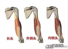 女生如何减去手臂拜拜肉？