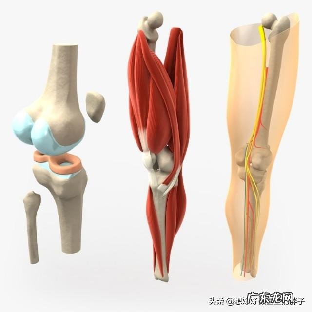 膝盖疼痛,该如何练瑜伽?