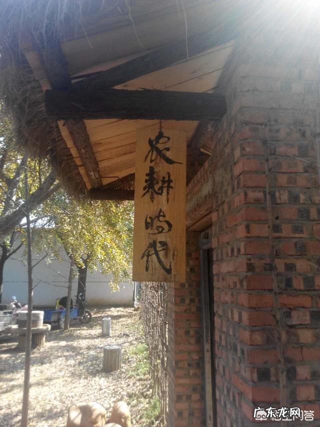 想去海口发展,大家有什么好的建议