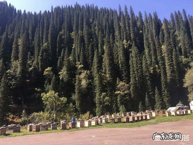 想去海口发展,大家有什么好的建议