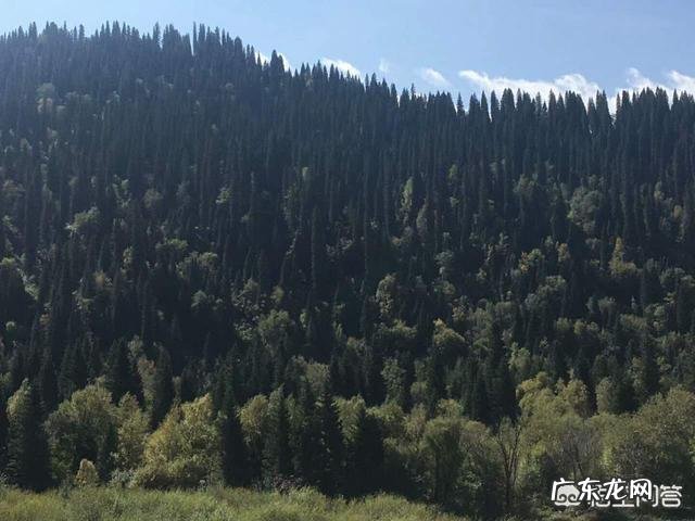 想去海口发展,大家有什么好的建议