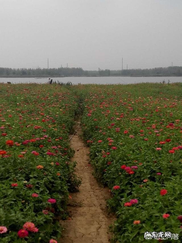 想去海口发展,大家有什么好的建议