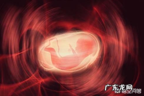 胎儿体重约97g±14g,四个月的话算正常吗?