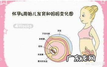 胎儿体重约97g±14g,四个月的话算正常吗?