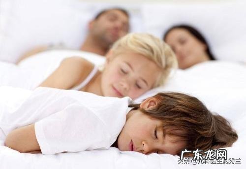 我的猫9个月大,只有5斤? 九个月的猫只有五斤多