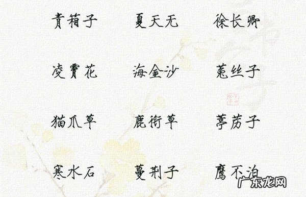 100种寓意最好的中草药名，好听又特别的中药名