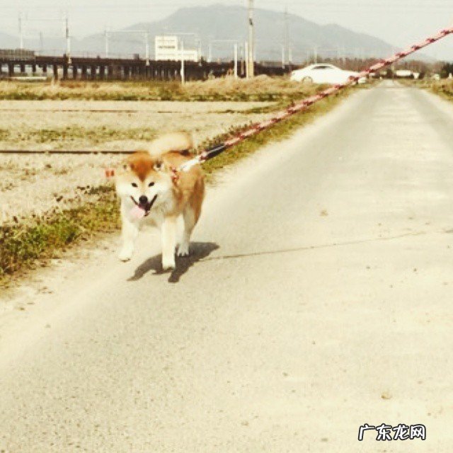 健身跑步需要穿运动内衣吗?